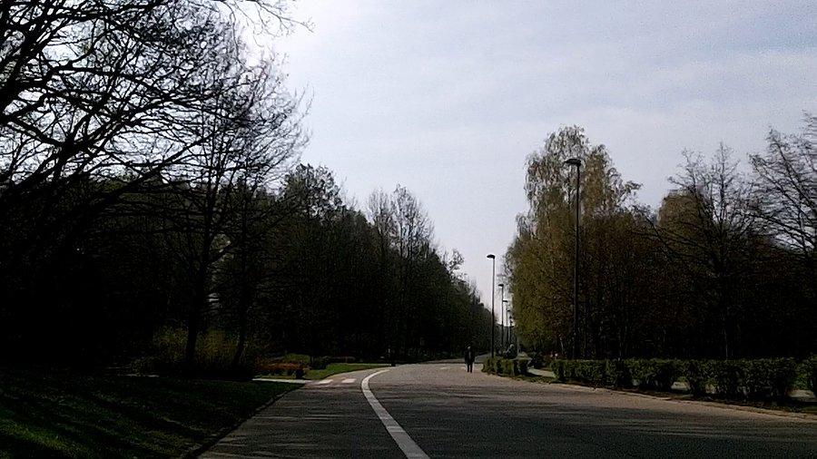 Wyjątkowo pusto... jak na to miejsce
