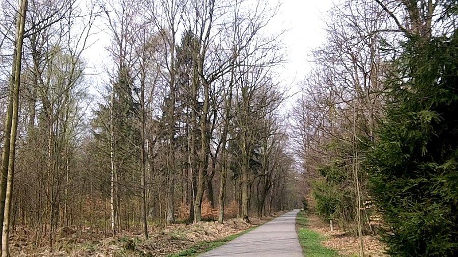 Kierunek Brynów