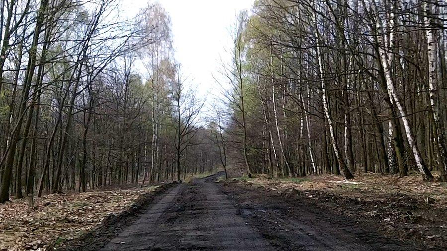Z górki... dobry kilometr