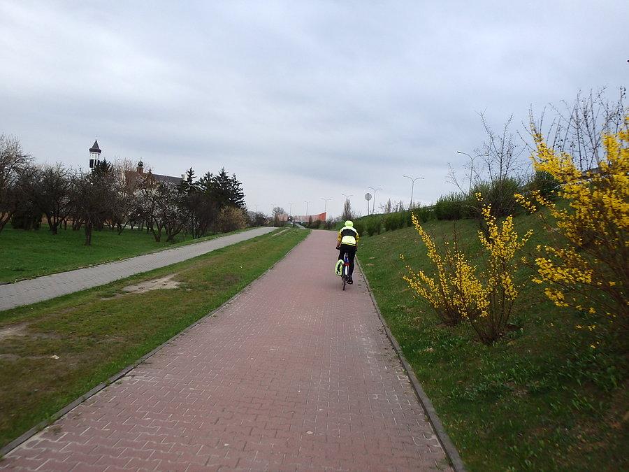 Trasa Siekierkowska (Warszawa)