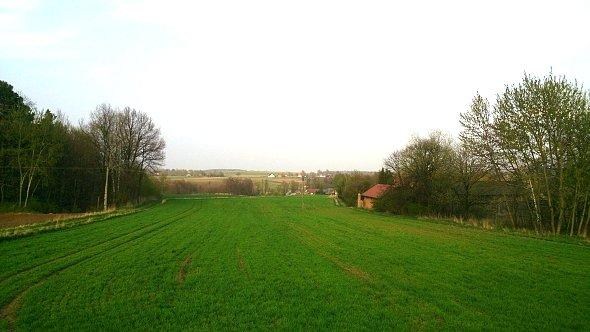 Pola w Iżycach