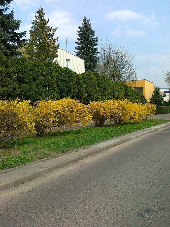 Dziś był piękny wiosenny dzień