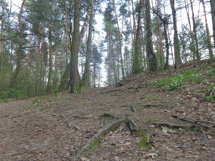 XC Pruszaków