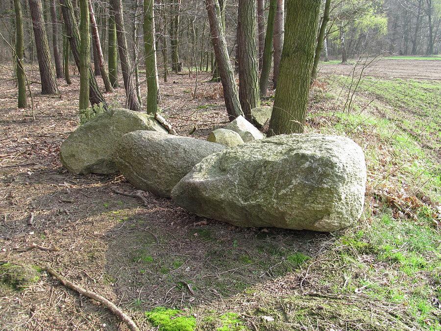 Rezerwat Parowy Janinowskie (tuż przy)