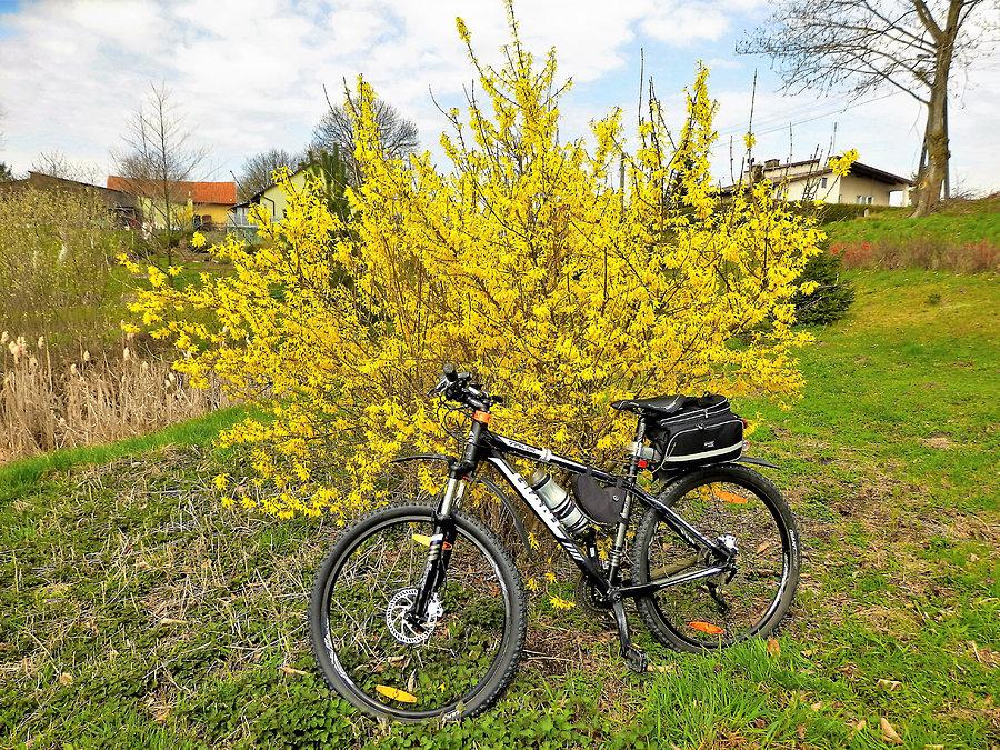 Wycieczka rowerowa - Kociewie