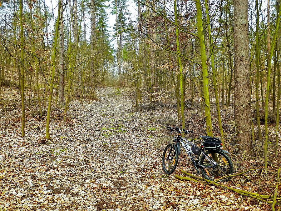 Wycieczka rowerowa - Kociewie