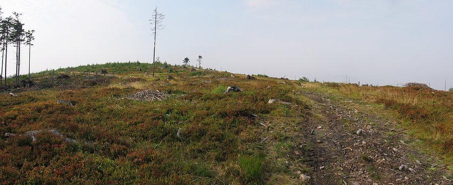 Panorama w okolicach Zielonego Kopca