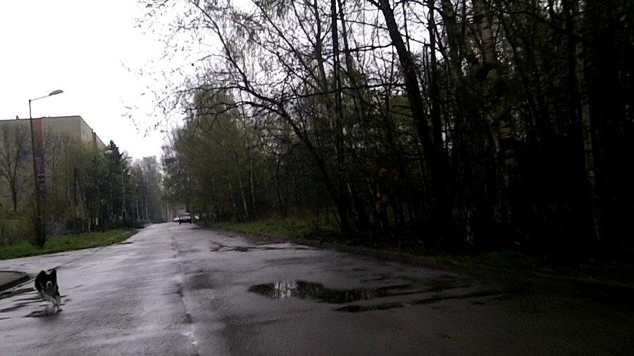 Atakująca Lea