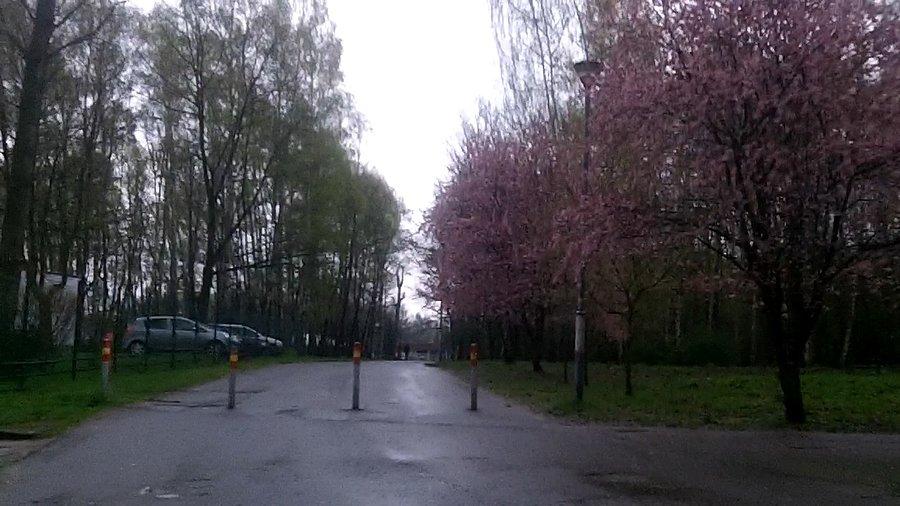 Park Zadole