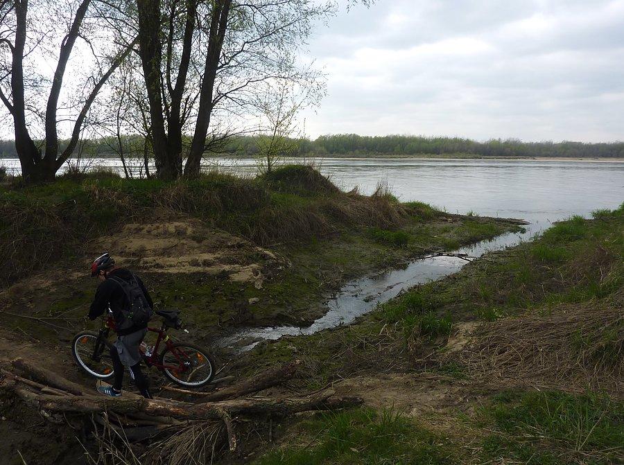"Potok" wpływający do Wisły