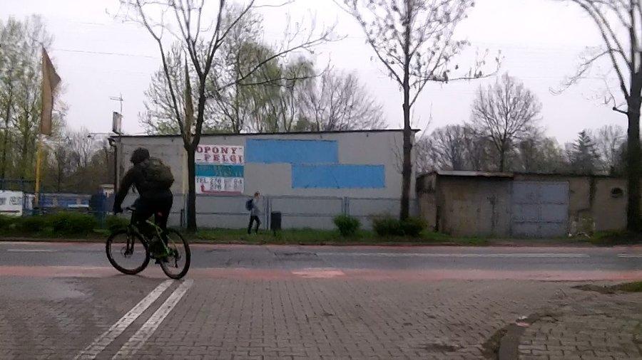 Króliczek?