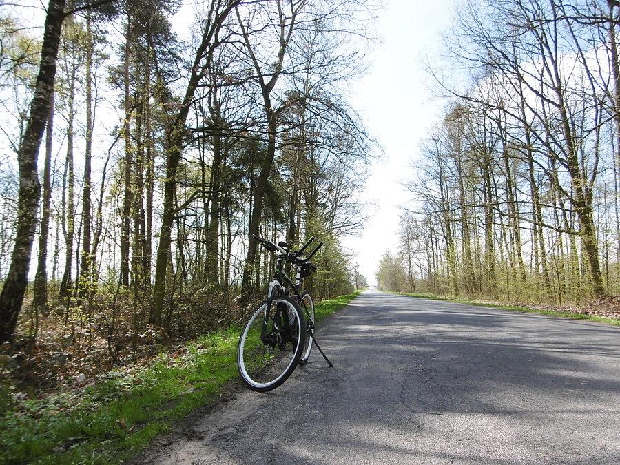 Ostatnia pauza przed Bronowem