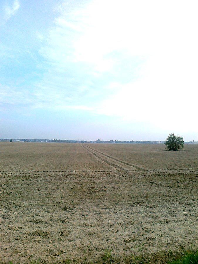 Wiosna na polu