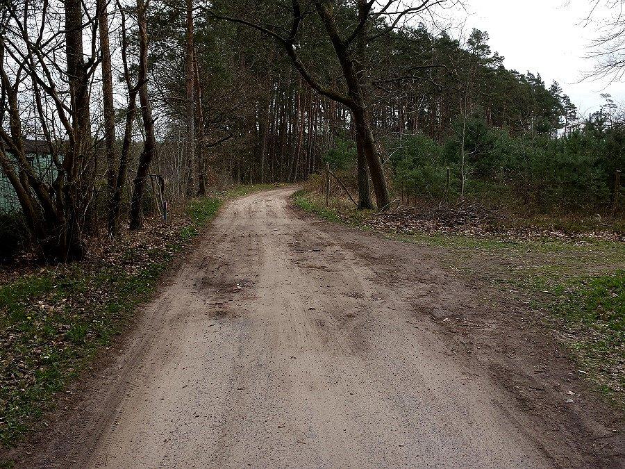 Drogi wyjazdowe z Cisewa