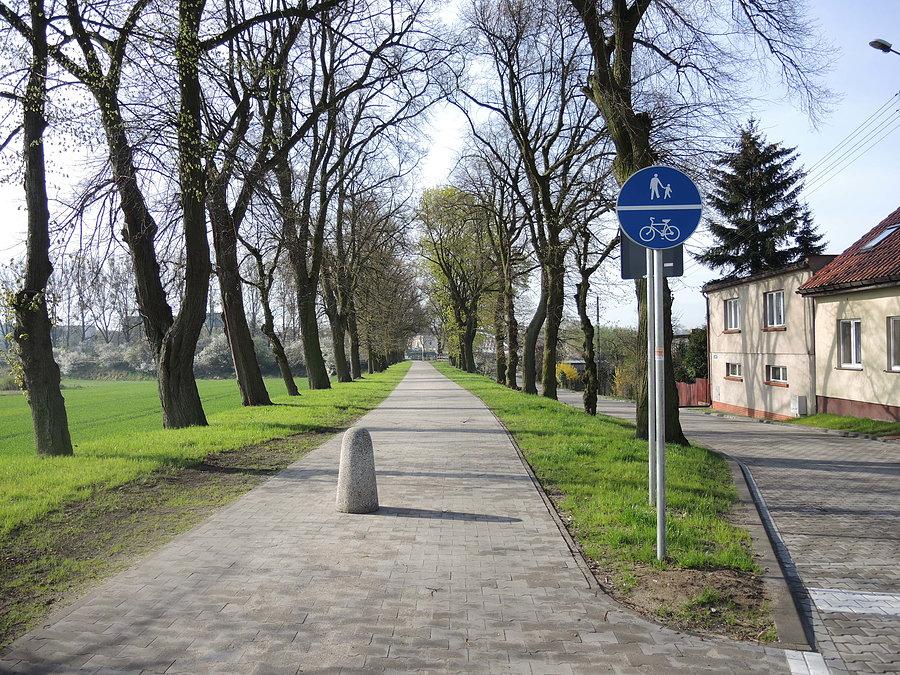 Droga w kierunku kładki na Warcie