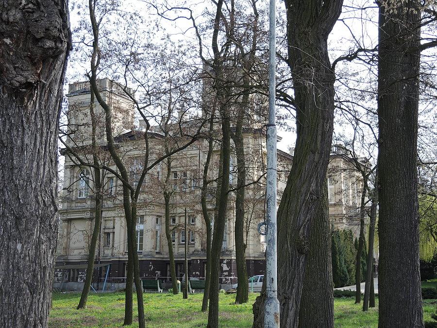Nowa Wieś koło Wronek - pałac Goetzendorf-Grabowskich - obecnie DPS