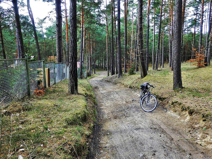 Wycieczka rowerowa po Kociewiu
