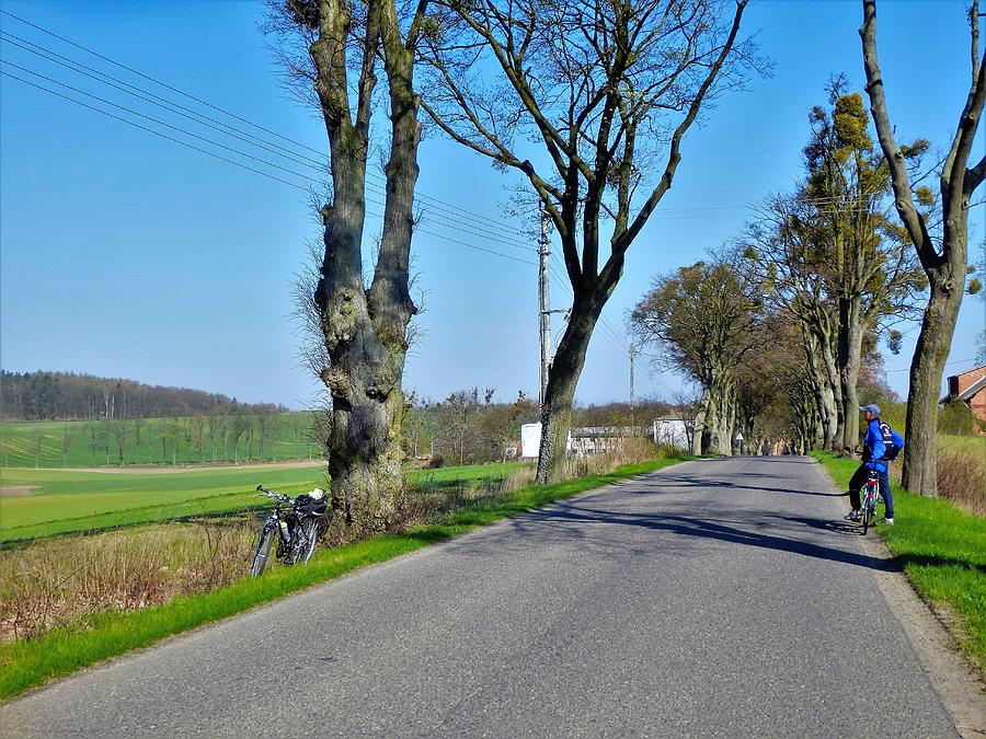 Wycieczka rowerowa po Kociewiu