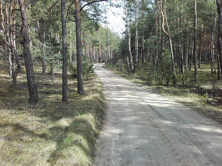 Las jarantowski