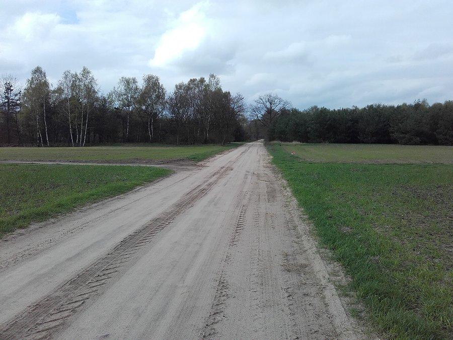 Polna droga w Jarantowie