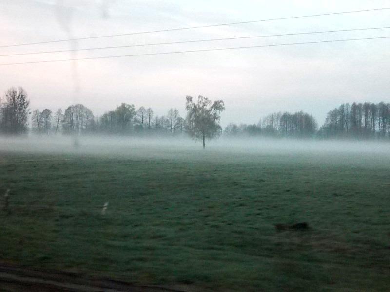 Mglisty poranek na Mazowszu