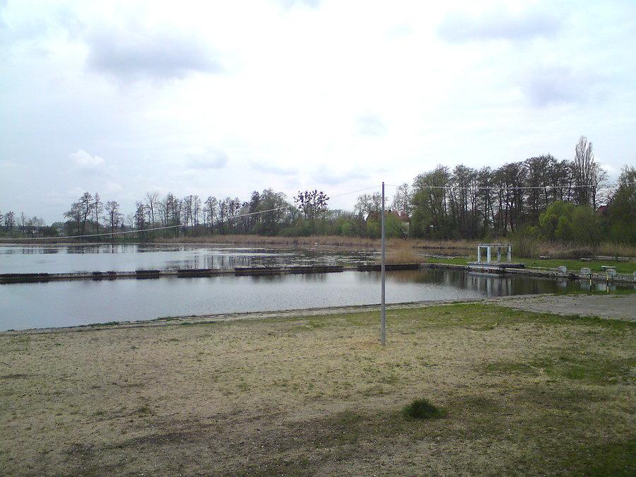 Basen w Brzegu