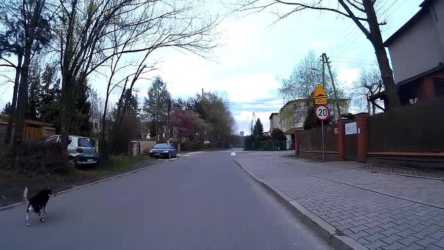 Jakiś bobik
