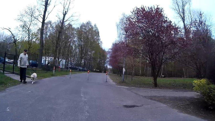 W parku Zadole