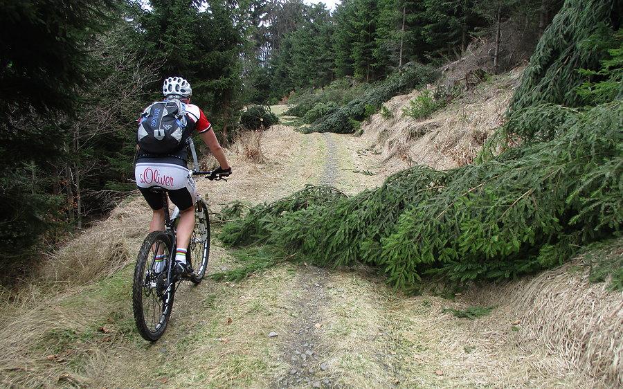 W górnych patriach to już pure MTB i można było obcować się z efektami potęgi sił natury