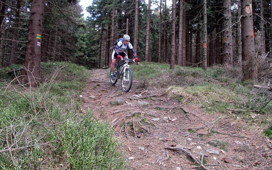 Fragmencik zjazdu z Borówkowej. Dla Drogbasa były to pierwsze górskie przeżycia na Canyonie :)