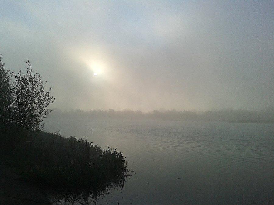 Mgła nad zalewem