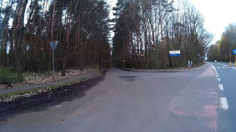 A może dzisiaj przez las?