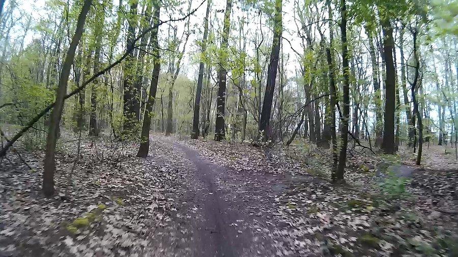 Ścieżki wąskie