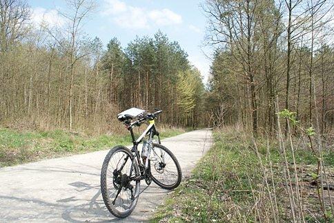 Na szlaku rowerowym w okolicach Królowej Woli
