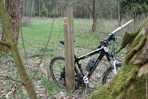 PK 2 - z Adventure Orient - Lasy Spalskie