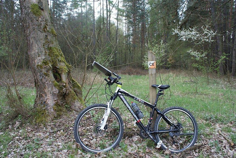 Przy PK 2 - po dawnej leśniczówce nie ma ani śladu