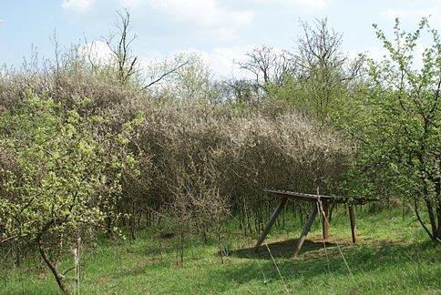 Tu można się schronić w cieniu, ktoś pomyślał...;)
