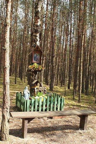 Kapliczka leśna