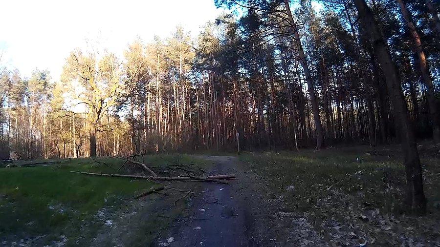 Przeszkody na drodze