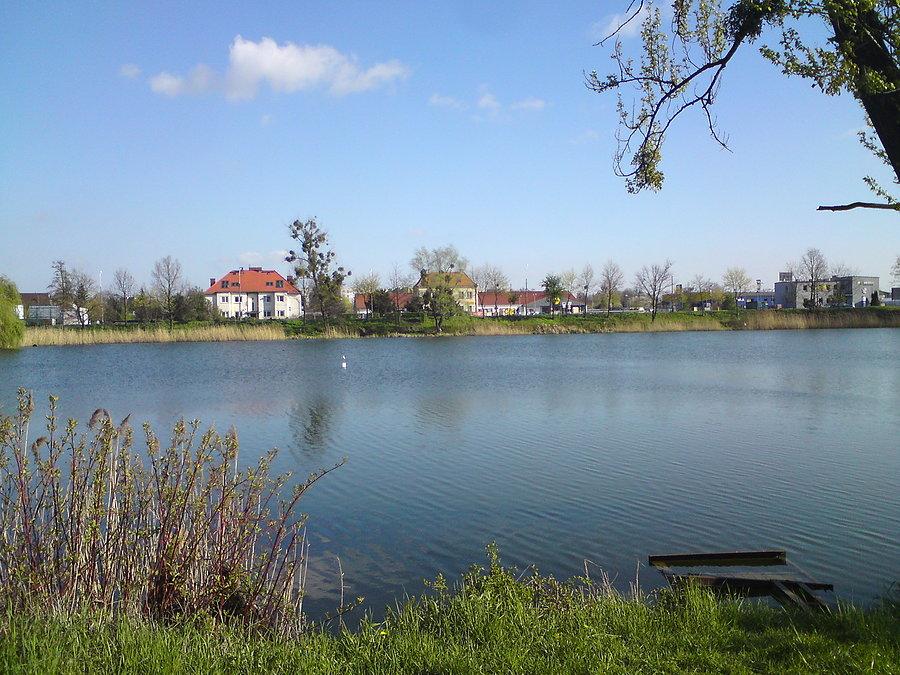 Staw "Cegielnia" w Brzegu