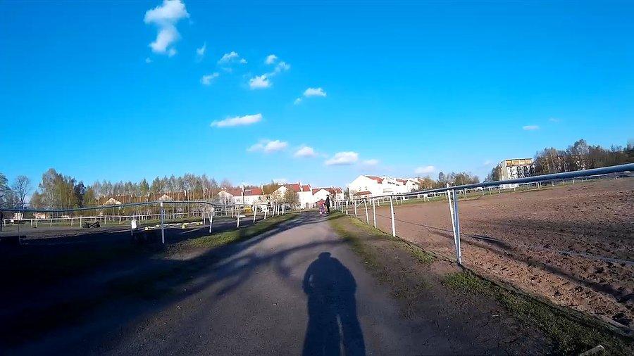 Koników coś nie widać