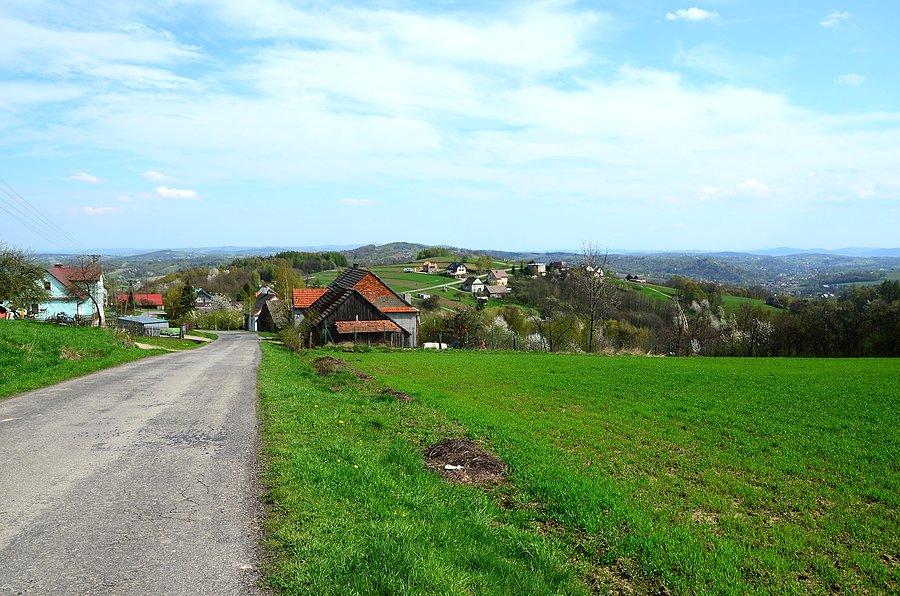 Pogórze Wiśnickie za Boheńcem