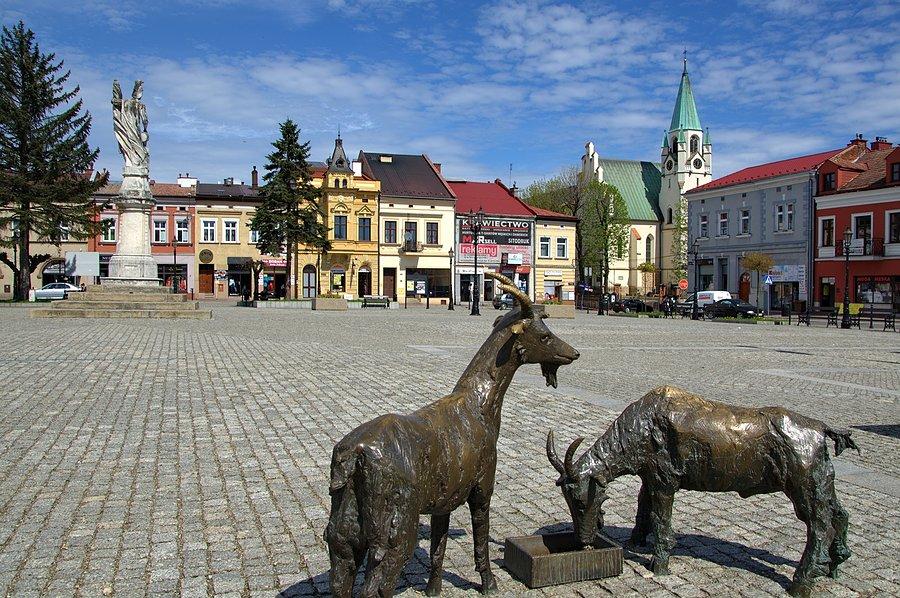 Brzesko