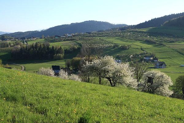 Widok z podejścia na Bąkowiec