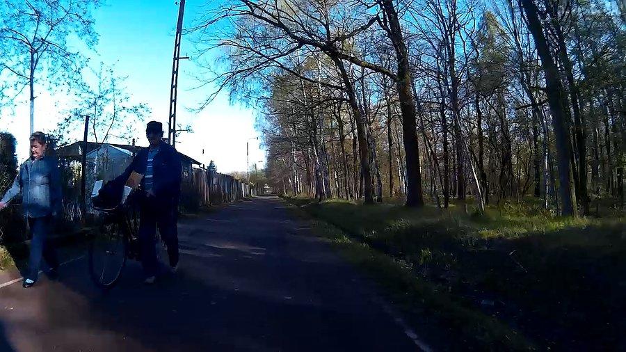 Przy działkach w lasku Makoszowskim
