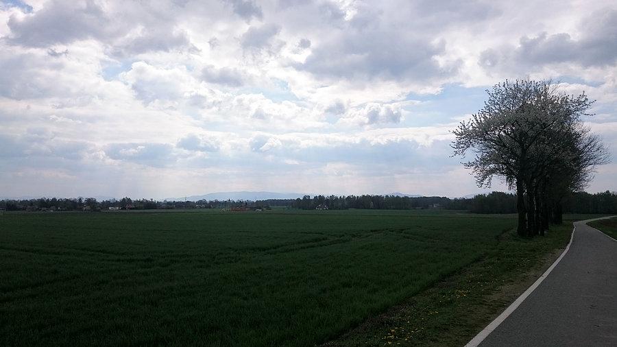 Beskidy w tle