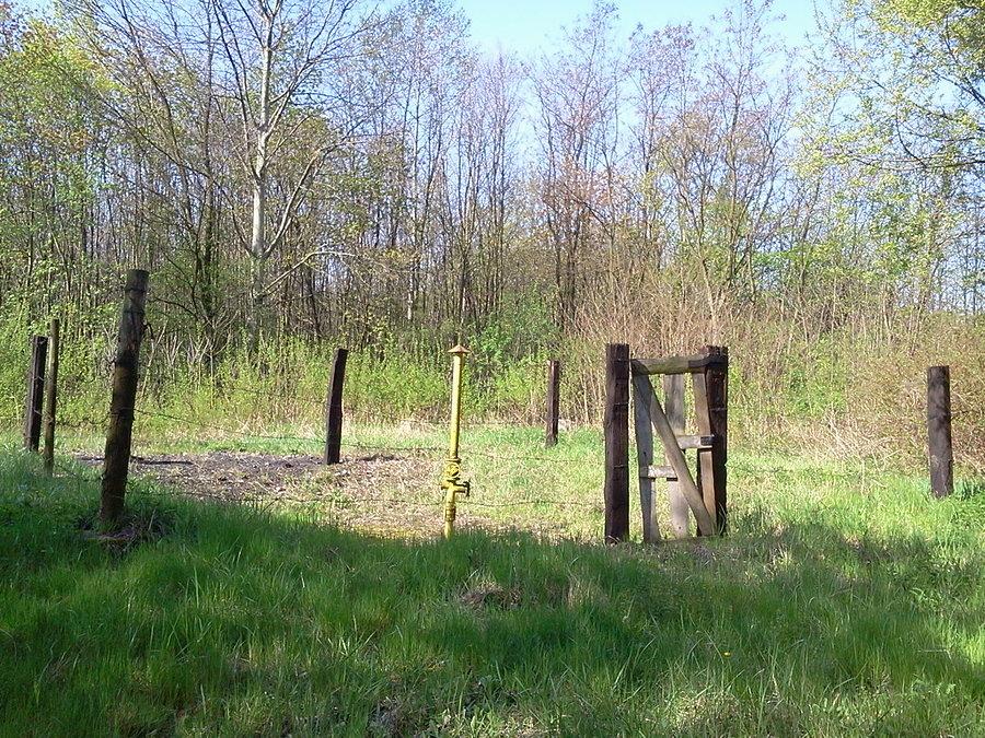 Wcześniej odnalazłem też trzeci szyb