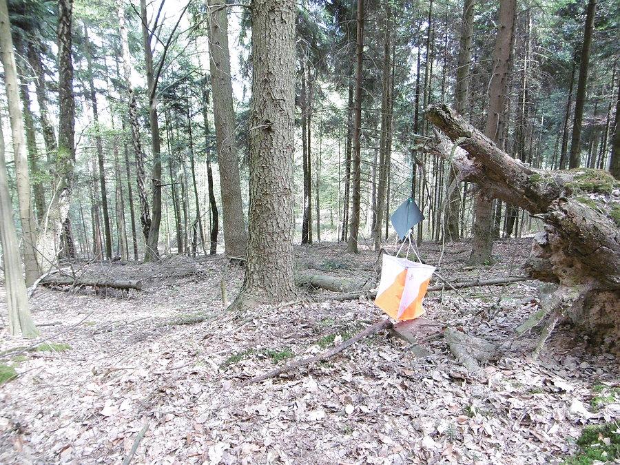 Piąty punkt - Wykrot