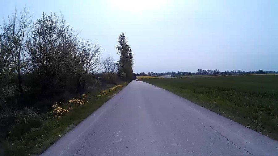 Nie ma żywego ducha