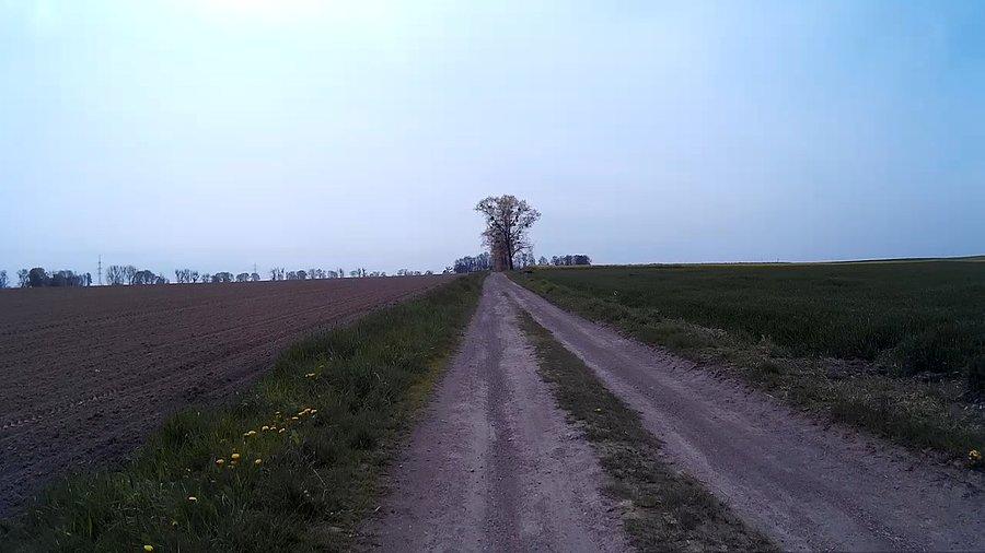 Na polach jeszcze rośliny niewielkie, a czasami brak